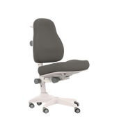 LIFETIME Kidsrooms Chair Grey Desk Chair ERGO