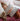 LIFETIME Kidsrooms Cushion Cushion Dots