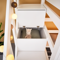 LIFETIME Kidsrooms High Sleeper Bed 177 with Staircase 120x200 cm