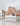 Cool Kids Furniture Cool Kids bed Cool Kids Tipi Bed 66 cm - Rainbow