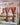 Fabric for Bed with Roof - Sunset Dreams Canopy LIFETIME Kidsrooms