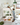 LIFETIME Kidsrooms Bed Family Bunk Bed with Ladder 90/120x200 cm