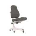 LIFETIME Kidsrooms Chair Grey Desk Chair ERGO