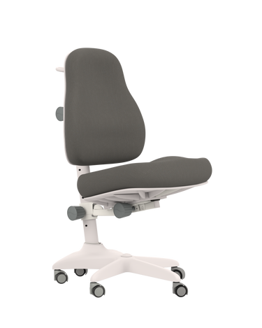 LIFETIME Kidsrooms Chair Grey Desk Chair ERGO