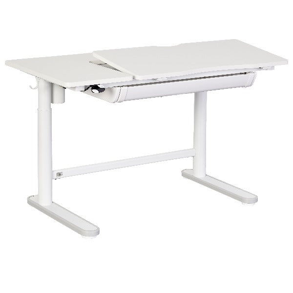 Ergo standing desk hot sale