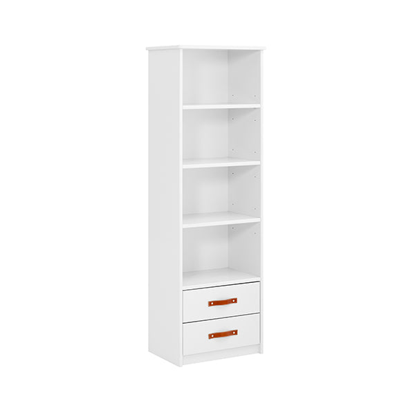 Cool kids bookcase